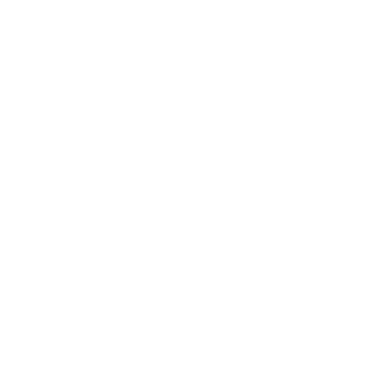 MESMDA — Middle East Social Media & Digital Association